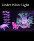 4 Pieces Aquarium Fish Tank Decorations with Glowing Effect, Silicone Glow Artificial Coral Reef Plants