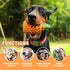 Small Dog Toys, Pineapple Tough Toys for Aggressive Chewers, Indestructible Toys for Aggressive Chewers (Small)