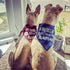 My Parents are Getting me a Human, 2 Pack Gender Reveal Dog Bandana