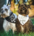 2 Pregnancy Announcement Dog Bandanas - Our Humans are Getting Us A Baby I Thought I was The Baby Dog Bandana - Pcs