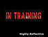 2 Pack Black Red Reflective Laser Cut Tactical Dog Patches Service Dog ,in Training,DO NOT PET, Tags with Hook and Loop Patches for Vests and Harnesses (in Training) by MOONIKONI