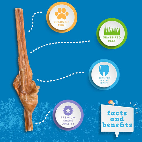 Jack&Pup Bladder Bully Sticks for Small Dogs - 6 Inch Baby Bully Stick Chew, Premium Grade All Natural Treats (10 Pack)