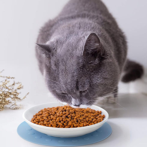 Dorakitten Ceramic Cat Food Plates for Wet Food, Wide Bowls to Stress Relief of Whisker Fatigue Cat Dishes, Shallow Bowls for Kittens and Small Animals with Non-Slip Mat