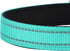 Reflective Dog Collar, Adjustable Soft Neoprene Padded Nylon Pet Collars with Buckle for Puppy and Small Dogs, Teal, XS