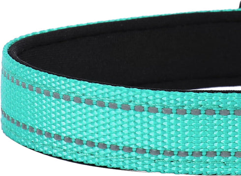 Reflective Dog Collar, Adjustable Soft Neoprene Padded Nylon Pet Collars with Buckle for Large Dogs, Teal (L)