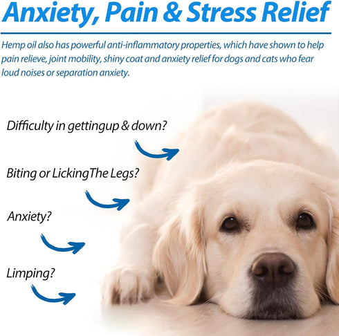 Organic Pet Oil for Dogs 60ML, Pain Relief, Skin, Arthritis, Calming, Omega 3, 6, 9 for Healthy Joints (1 Pack, Blue)