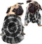 Howilath Pup Dog Hoodie - Stylish Tie-dye Black Radial Streetwear T Shirt Pet Outfit with Hat - L