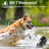Dog Training Collar Electric with 4 Training Modes, Rechargeable Remote Waterproof Range 3300Ft for Small Medium Large