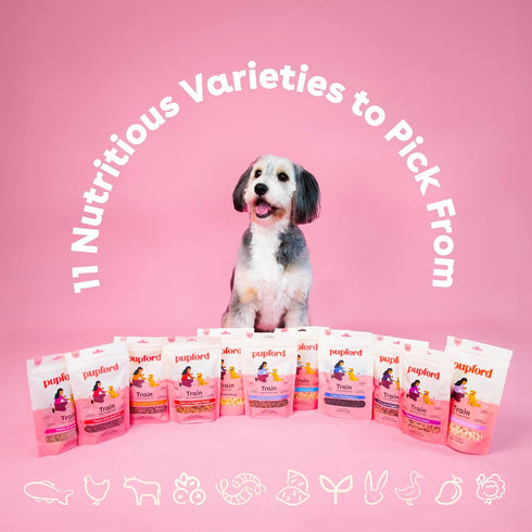 1400+ 4 oz, 3 Pack) Pupford Freeze Dried Training Treats for Dogs & Puppies, Two Ingredient Bites (Chicken