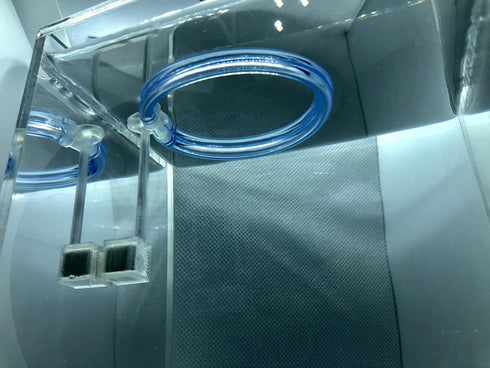 Magnetic Invisible Feeding Ring, Customizable Food Portal for Floating Plant Aquariums