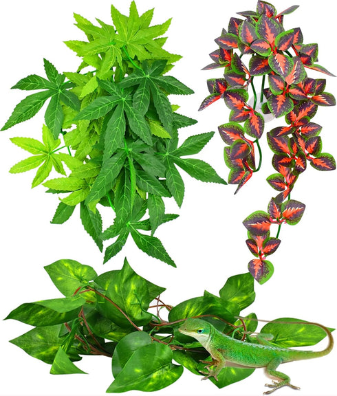 KATUMO Reptile Plants, 3 PCS Amphibian Hanging Plants with Suction Cup for