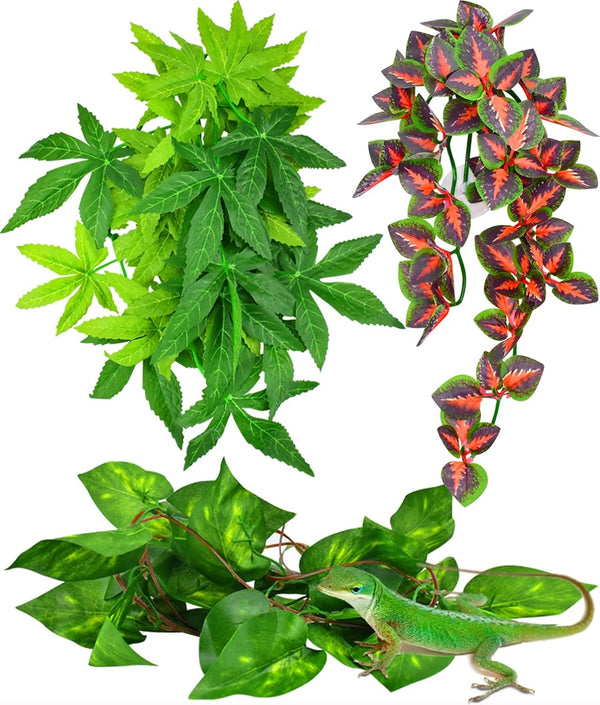 KATUMO Reptile Plants, 3 PCS Amphibian Hanging Plants with Suction Cup for