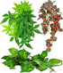 KATUMO Reptile Plants, 3 PCS Amphibian Hanging Plants with Suction Cup for