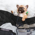 Loklneyk Let's Roll Golf Cart Dog Blankets for Small Dogs, Puppy Blanket Cute Pet Blanket for Dog, Puppy, Cat, Kitten
