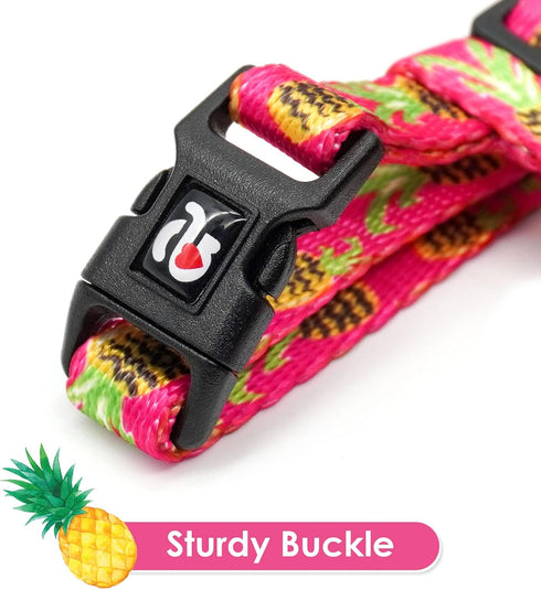 azuza Cat Harness and Leash Set - Escape Proof Adjustable Vest for Walking, Pineapple Design for Small to Large Cats