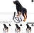 "Dog Chain Collar Black High Polished Stainless Steel Cuban Link Heavy Duty Chew Proof Leash for Small Dogs (15mm,
