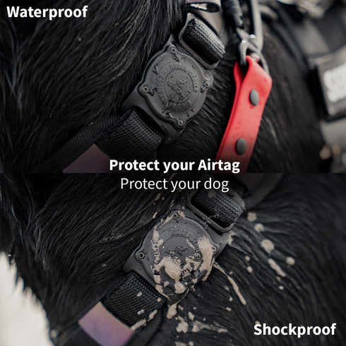 SÄKER IP68 Waterproof Airtag Dog Collar Holder, Ultra-Durable and Dustproof, Fits Up to 1.5" Collars, Montreal Design