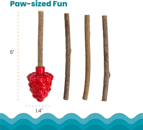 4 Catstages Dental Raspberry Teether with Silvervine Sticks Included, Cat and Kitten Teething Toy, Red