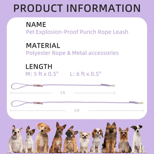 Wisedog Polyester Rope Dog Leash, Heavy Duty with Soft Comfortable Padded Handle, Durable Stylish Braided Pet Leash, 5