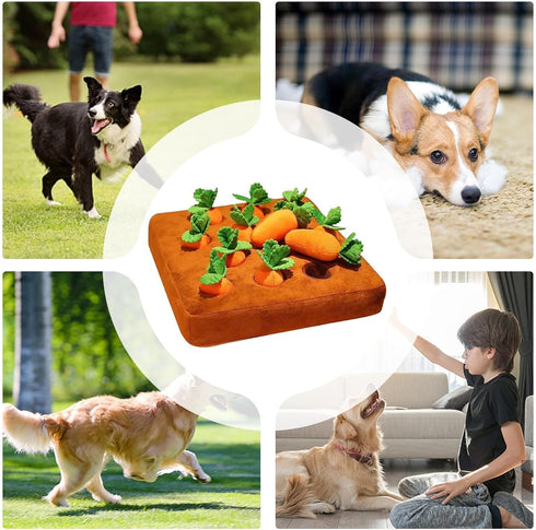 Generic 12 1 Snuffle Toys for Dogs - Carrot Interactive Feed Game, Piece Plush Puzzle Mat for Puppy Mental Stimulation