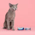 Set, 2 Set, (692005) Fringe Studio Plush Cat Toy Tuna Right Meow, Mini Piece Pet Shop Collection