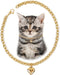 Dog Collar and Cat Chain Necklace, Stainless Steel Adjustable 18K Gold Heart-Shaped Necklace for Small Pets, Gold, 7