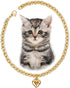 Dog Collar and Cat Chain Necklace, Stainless Steel Adjustable 18K Gold Heart-Shaped Necklace for Small Pets, Gold, 7