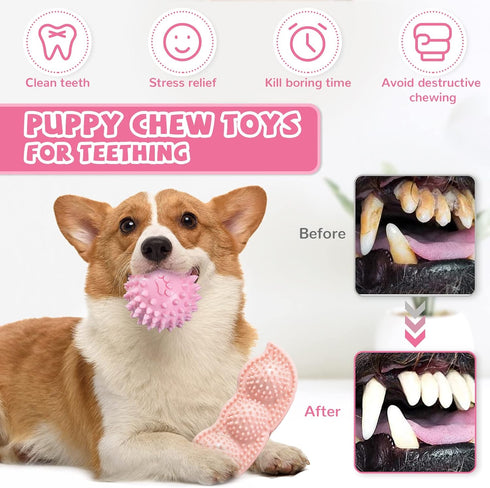 Puppy Toys, 6 Pack Teething Chew Toys for Small Breed, Cute Pink Soft Rubber Durable Dog Toys Set
