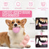 Puppy Toys, 6 Pack Teething Chew Toys for Small Breed, Cute Pink Soft Rubber Durable Dog Toys Set