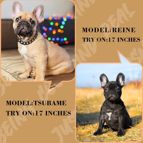 Black Dog Chain Collar, 3/4 Inch Cuban Link Durable Necklace for Pit Bulldog, Light Metal Jewelry, 17" (17 inch, Black)