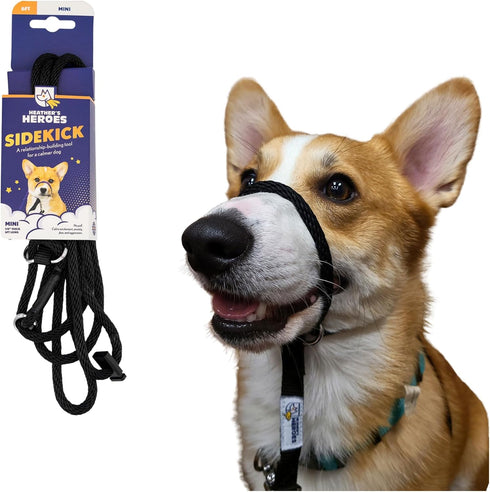 Sidekick Dog Headcollar with Leash - Effective Training Tool for Leash Reactivity (Black, Mini (1/4"))