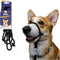 Sidekick Dog Headcollar with Leash - Effective Training Tool for Leash Reactivity (Black, Mini (1/4"))