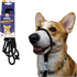 Sidekick Dog Headcollar with Leash - Effective Training Tool for Leash Reactivity (Black, Mini (1/4"))