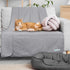 PetAmi Waterproof Dog Blanket, Leakproof Fleece Cover for Small Medium Dogs, 29x40 Light Gray