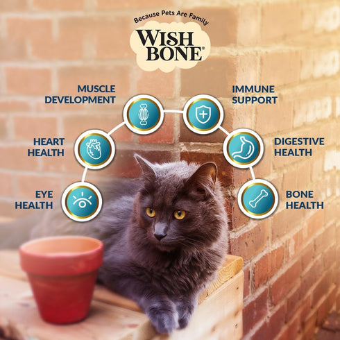 Wishbone Roost New Zealand Chicken, Gluten Free, Grain Free Dry Cat Food - Premium Chicken Recipe for Overall Pet