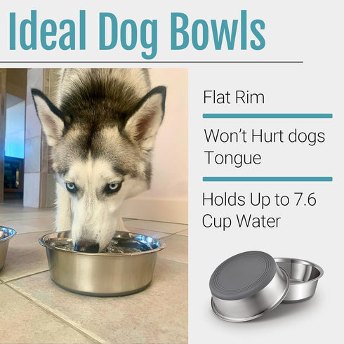 PEGGY11 Stainless Steel Dog Bowls, Nonslip Rubber Bottom, 2 Pack, Each Holds 7.6 US Cup, Dishwasher Safe