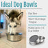 PEGGY11 Stainless Steel Dog Bowls, Nonslip Rubber Bottom, 2 Pack, Each Holds 7.6 US Cup, Dishwasher Safe