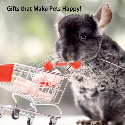 Chinchilla MANON ROSA Rabbit Toy Bunny Mini Shopping Cart Small Animal Supermarket Handcart Hedgehogs Parrot Bird Cats