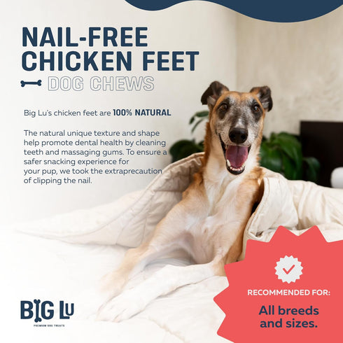 (30-Pack) 100% Nail-Free Chicken Feet Dog Chews, | Natural Single-Ingredient Treats, Rawhide-Free, Long-Lasting, Rich
