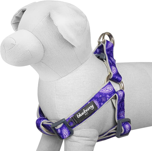 Blueberry Pet 5 Colors Soft Step-in Paisley Flower Print Dog Harness - Adjustable Medium Harness, Chest Girth 20" - 26"