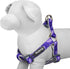 Blueberry Pet 5 Colors Soft Step-in Paisley Flower Print Dog Harness - Adjustable Medium Harness, Chest Girth 20" - 26"