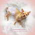 FUNLIYING 90 Count 16-22 Disposable Dog Diapers Female Doggie Diapers for Female Dogs (Waist in XL) Super Absorbent