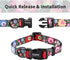 Ihoming Dog Collar and Leash Set for Daily Outdoor Walking, Black Colorful Flowers Design for Small Boys Girls Dogs