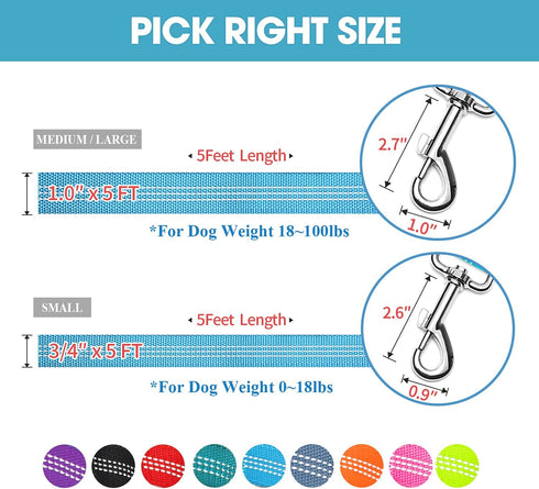 BAAPET Two Handle Dog Leash (1.0'' x 5 FT, Blue) - Dual Soft Padded Handles with Traffic Control for Small to Large Dogs