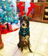 2 Pack Christmas Dog Plaid Bandana with Santa and Snowman Appliques Holiday Scarf for Pet Dog Puppy