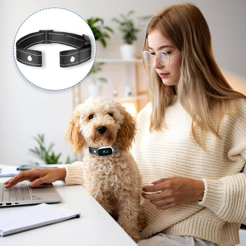 Reflective Collar Replacement Strap for Dog GPS Training Bark Receiver Collars, Heavy Duty for Small Medium Large Dogs