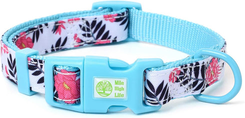 Mile High Life Cute Girl Dog Collars, Lightweight Soft Poly Cotton Fabric for Small Dogs, Flower & Fruit Pattern