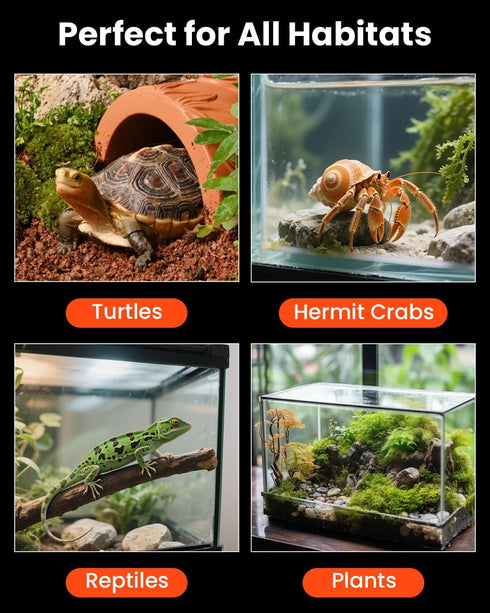 MQ Reptile Terrarium Heat Pad with LCD Digital Aquarium Thermometer, 5.5 x 6in Power Adjustment Heater Mat