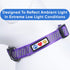 Pawtitas Reflective Dog Collar - High Visibility Adjustable Collar for Extra Small and Small Puppies, Purple XS