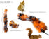 Cat Toys Wand, Retractable Interactive Feather Teaser Cat Toy with Bell, 5pcs Refills